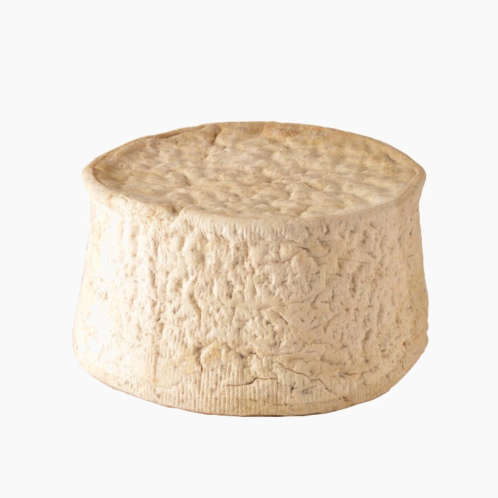 gorgonzola