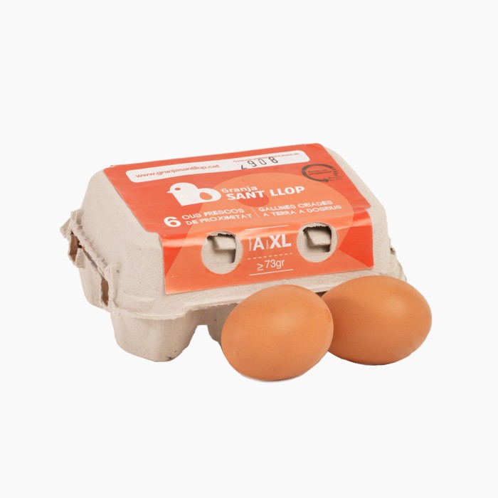 6-ous-xl-n-2-sant-llop